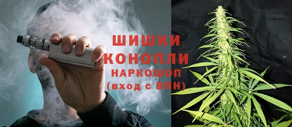 2c-b Пересвет