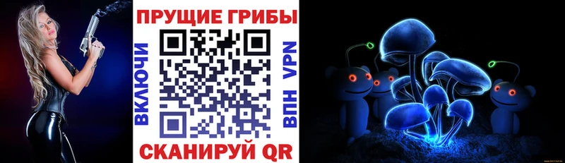 kraken ссылки закладка Красноперекопск Псилоцибиновые грибы мухоморы